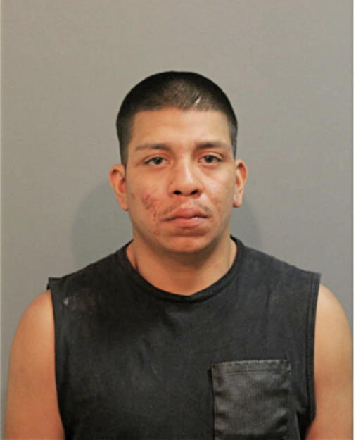 VICTOR M AVALOS, Cook County, Illinois