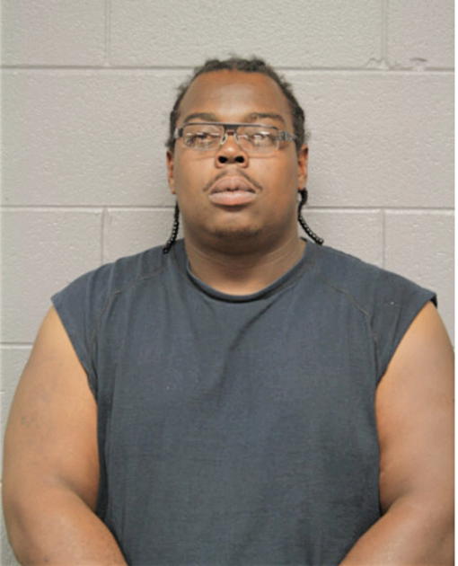 JASON T BROWN, Cook County, Illinois