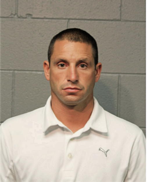 ANTHONY P DE SIMONE, Cook County, Illinois