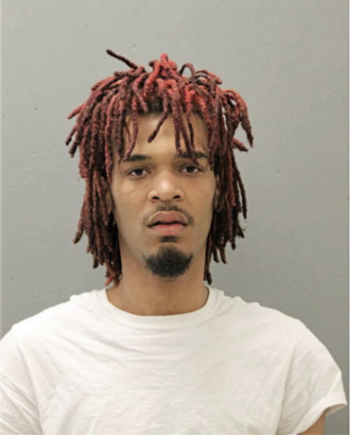 DEVONTE S DIXON, Cook County, Illinois