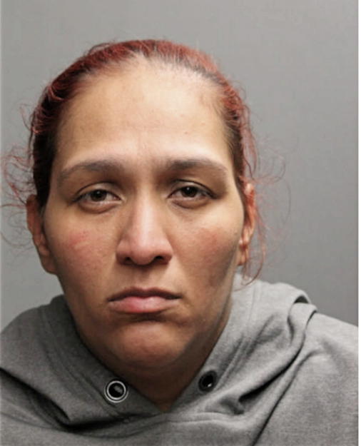 ARJELIA L FIGUEROA, Cook County, Illinois