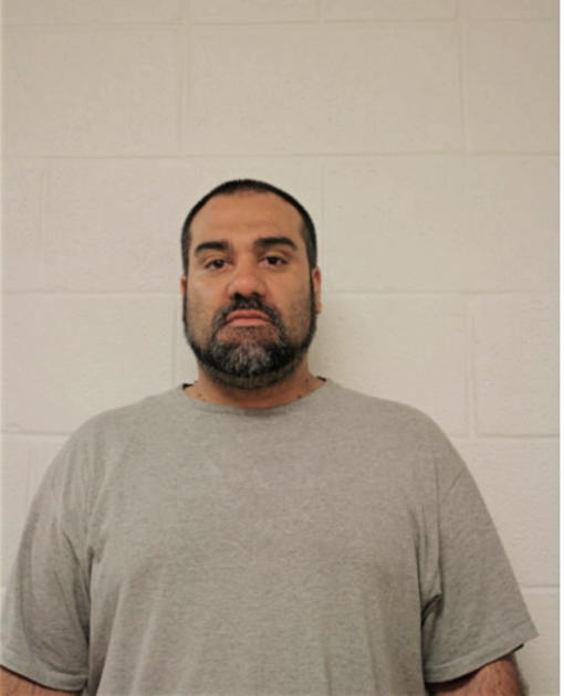 GEORGE A GONZALEZ, Cook County, Illinois