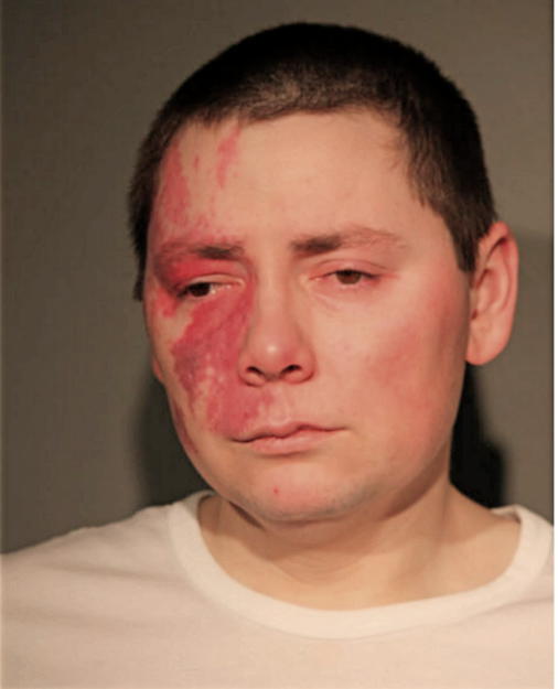 NICK GORODISCHER, Cook County, Illinois
