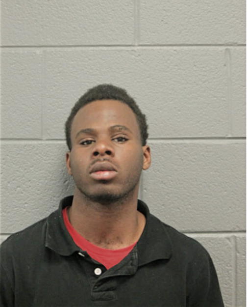 JOSEPH T GOWDY, Cook County, Illinois