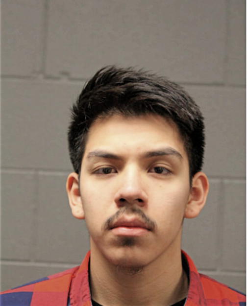 FRANK GUEVARA, Cook County, Illinois
