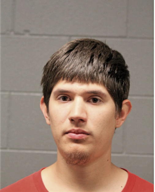 JAVIER BANUELOS HERNANDEZ, Cook County, Illinois