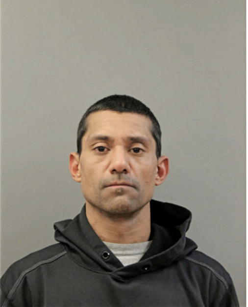 LUIS E HERNANDEZ, Cook County, Illinois