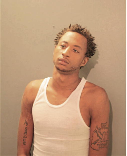 TERRELL A HORTON, Cook County, Illinois
