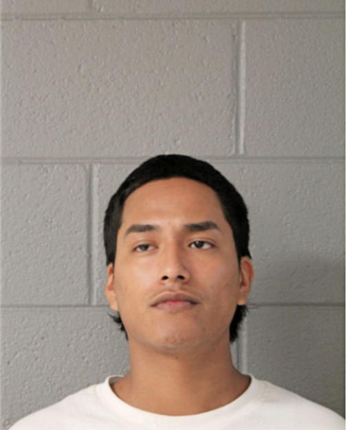 CHRISTOPHER LAGUNES, Cook County, Illinois