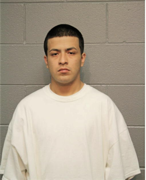 OMAR LANDEROS, Cook County, Illinois