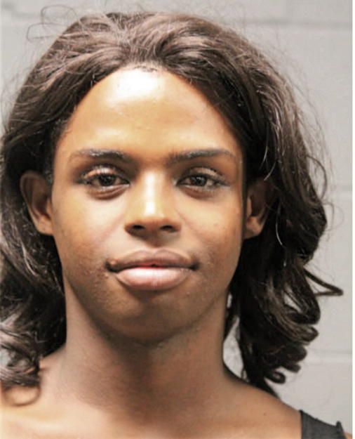 ALEX C LOFTON, Cook County, Illinois