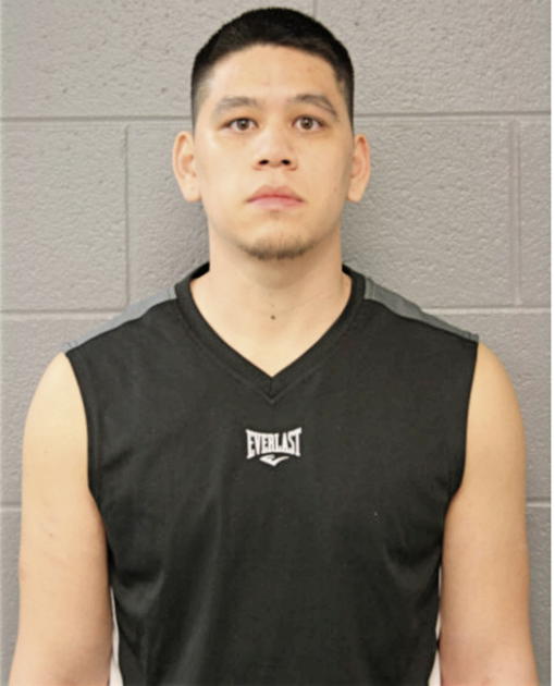 JOEL D MAYHEW, Cook County, Illinois