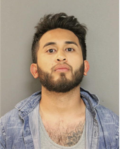 MANUEL A ORTIZ, Cook County, Illinois