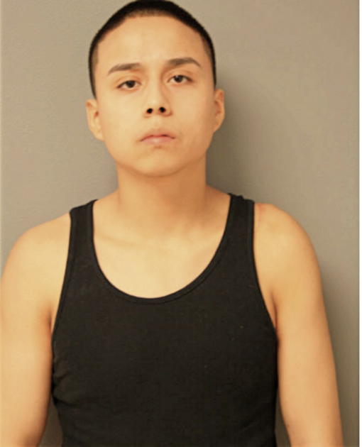 JAVIER OVIEDO, Cook County, Illinois