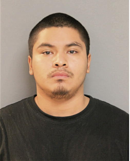 CHRISTOPHER E PALACIOS, Cook County, Illinois
