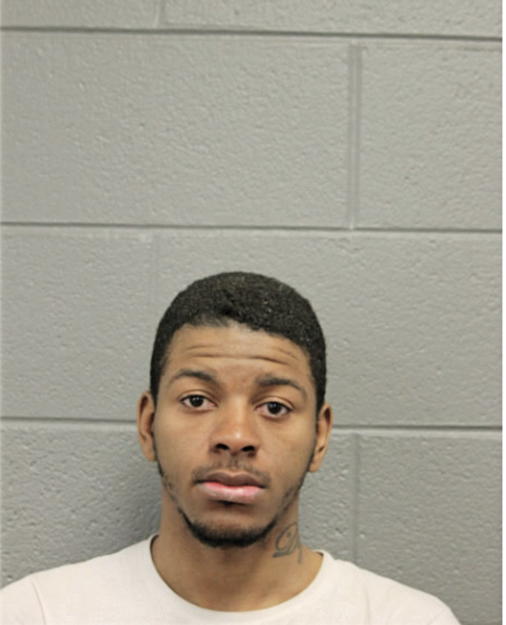 MICHAEL K RAGGS, Cook County, Illinois