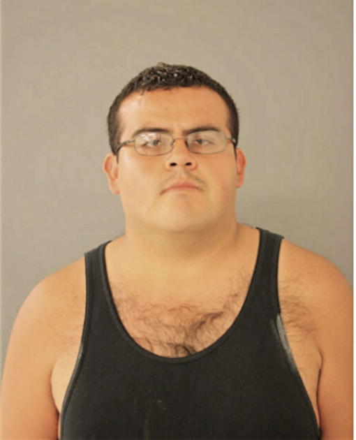 JOSE A RUIZ, Cook County, Illinois