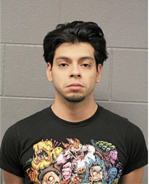 RICARDO R SAUCEDO, Cook County, Illinois