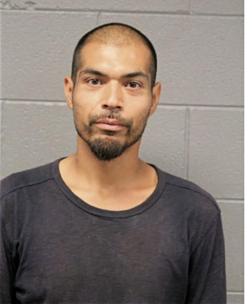 MICHAEL R TREVION, Cook County, Illinois