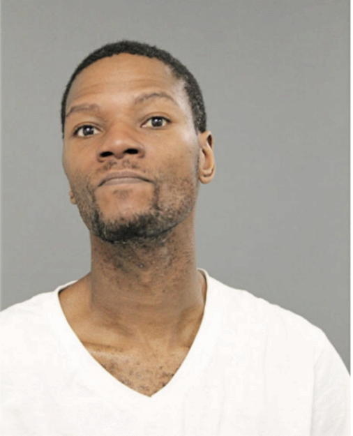 MICHAEL A WILLIAMS, Cook County, Illinois