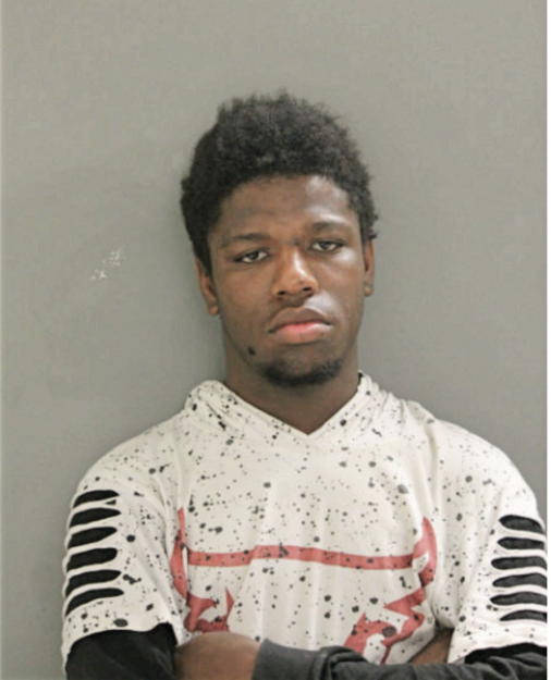 MICHAEL T WILSON, Cook County, Illinois