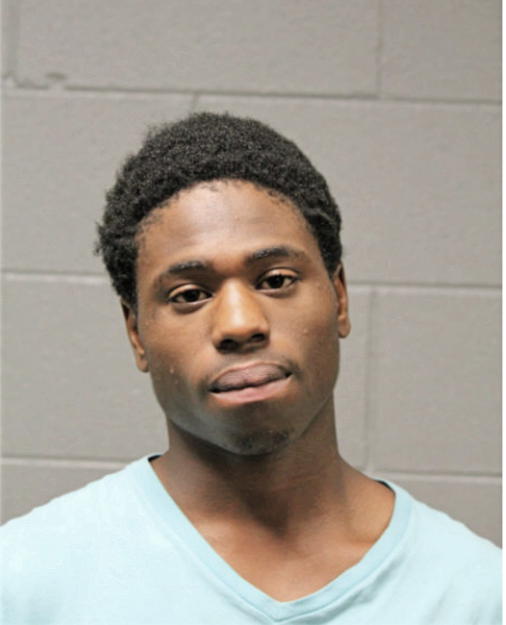 DAVID T YOUNG, Cook County, Illinois