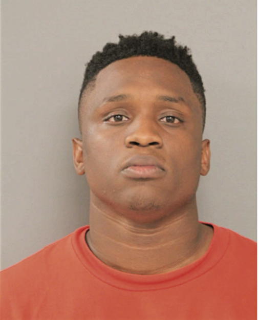 WILLIE J ANDERSON, Cook County, Illinois