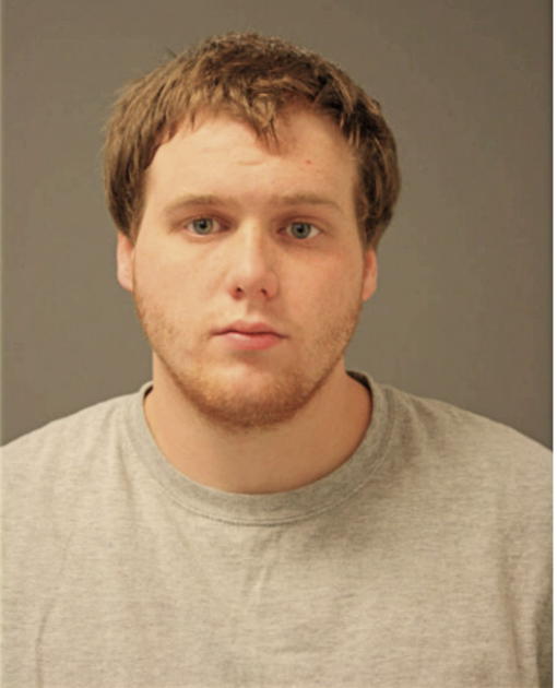 DYLAN M BALDWIN, Cook County, Illinois