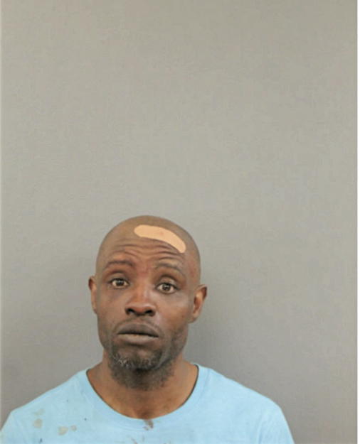 LASHAUN D CAIN, Cook County, Illinois
