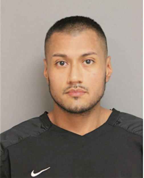 CARLOS DELGADILLO, Cook County, Illinois