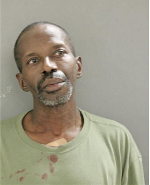 BRIAN E JOHNSON, Cook County, Illinois