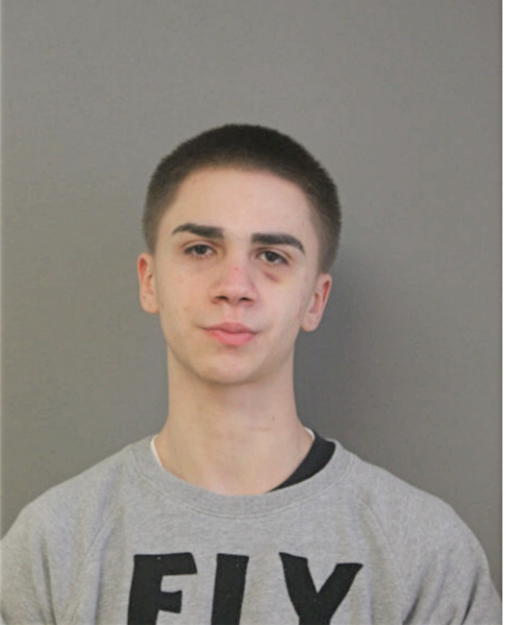 JACOB T FERNANDEZ, Cook County, Illinois