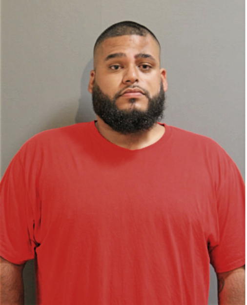 ENRIQUE GONZALEZ, Cook County, Illinois