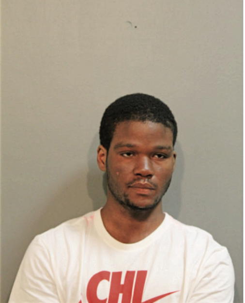DEVON J GROSS, Cook County, Illinois