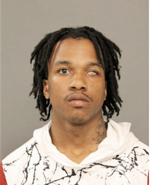 GABRIEL JOHNSON, Cook County, Illinois