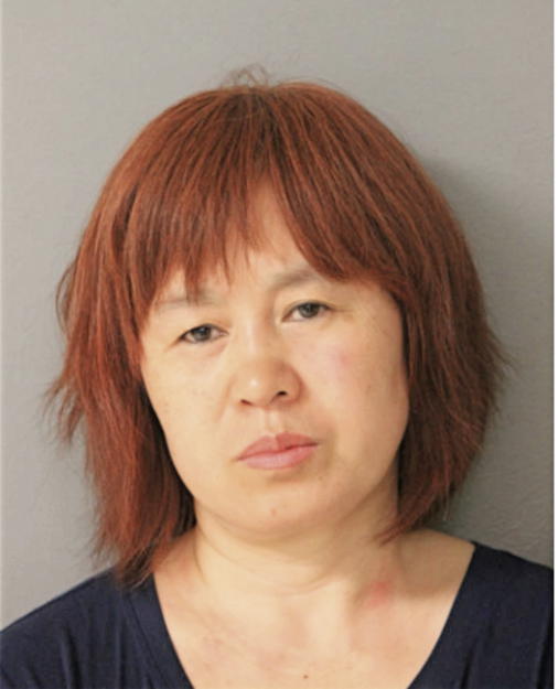 LIHUA LIU-COX, Cook County, Illinois