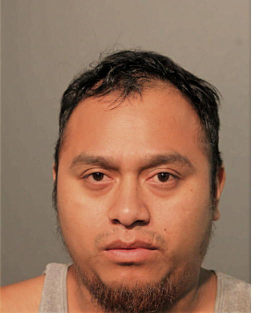 LUIS MARCIAL, Cook County, Illinois