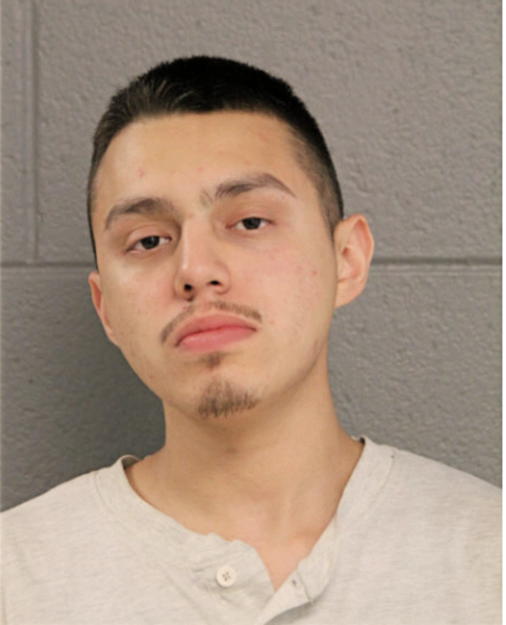 MIGUEL A NIETO, Cook County, Illinois