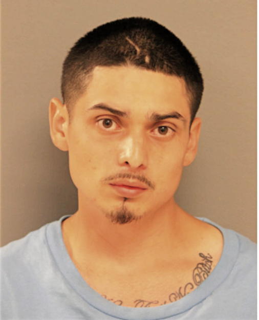 JOSE G PATINO, Cook County, Illinois