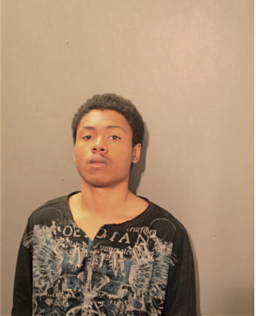 BRADLEY C PEREZ, Cook County, Illinois