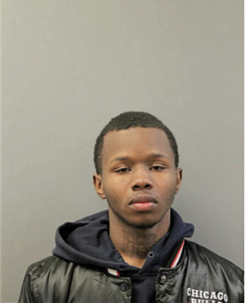 JAMES ARTIST RIDDLE, Cook County, Illinois