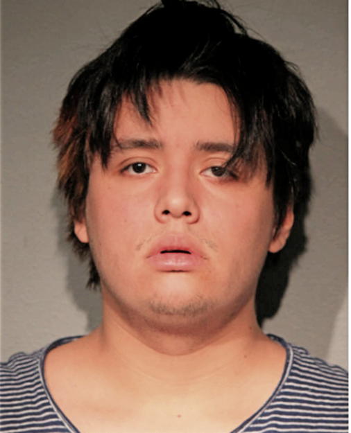 DANTON P VALENZUELA, Cook County, Illinois