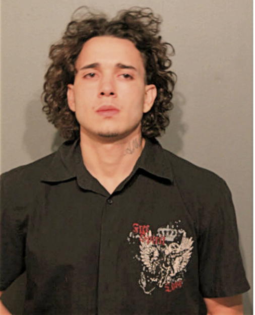 NELSON L VASQUEZ, Cook County, Illinois