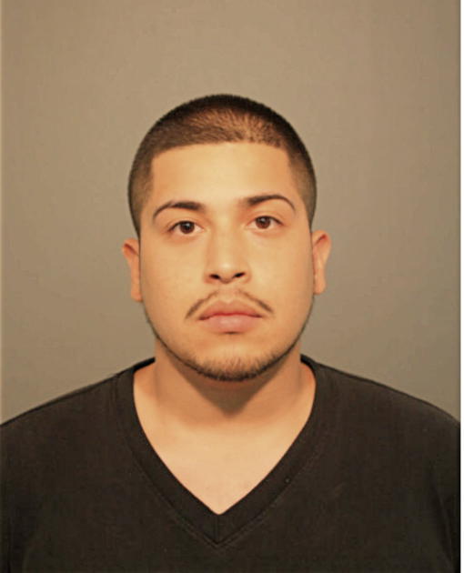 JESSE J VEGA, Cook County, Illinois