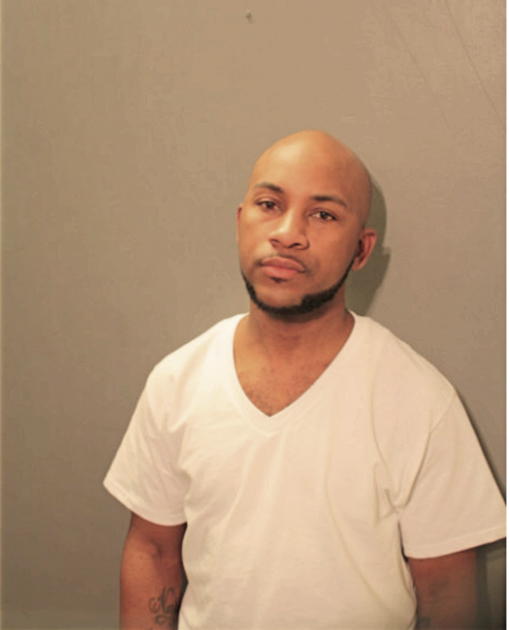 RONALD M WEBB, Cook County, Illinois