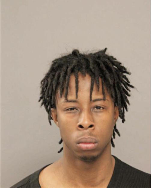 IAN B WOODSON, Cook County, Illinois