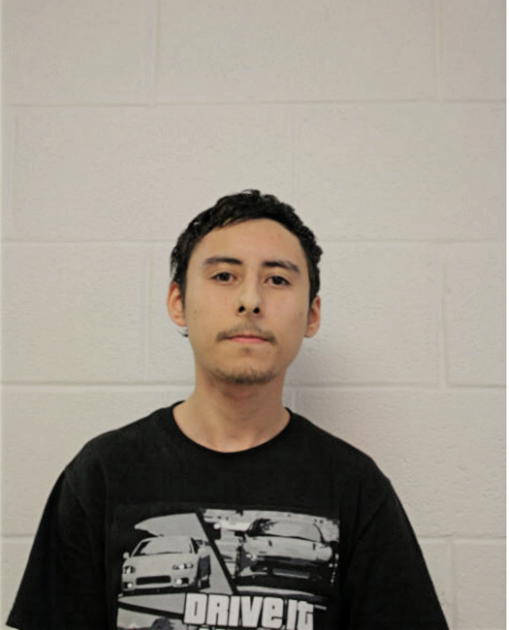 JESSE J ALVAREZ, Cook County, Illinois