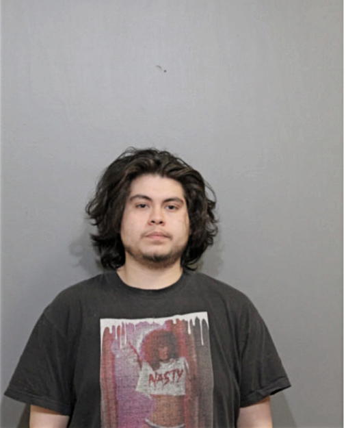 FERNANDO H CALDERON, Cook County, Illinois