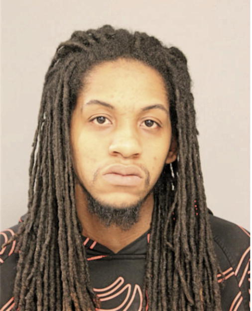DEREK L DAVENPORT, Cook County, Illinois