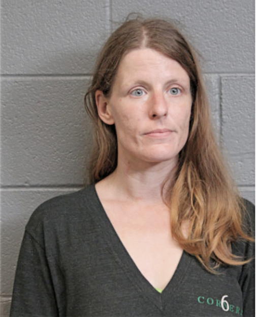 CHRISTEENA M DEW, Cook County, Illinois